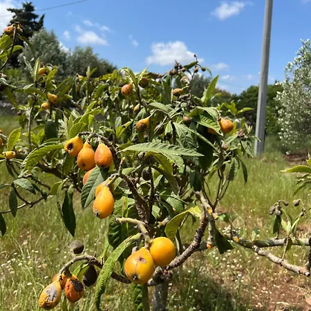 Romantica In Contrada Ulmo Apartmán Ceglie Messapica